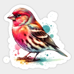 Watercolor House Finch Sticker